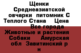 Щенки Среднеазиатской овчарки (питомник С Теплого Стана) › Цена ­ 20 000 - Все города Животные и растения » Собаки   . Амурская обл.,Завитинский р-н